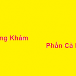 Phòng khám bác sĩ Phấn cà mau ở đâu? giá khám bao nhiêu?