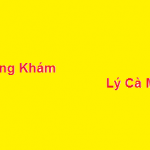 Phòng khám bác sĩ Lý cà mau ở đâu? giá khám bao nhiêu?