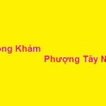 Phòng khám bác sĩ Phượng tây ninh ở đâu? giá khám bao nhiêu?