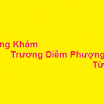 Phòng khám bác sĩ Trương Diễm Phượng từ dũ ở đâu? giá khám bao nhiêu?