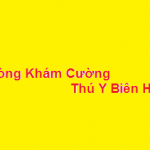 Phòng khám bác sĩ Cường thú y biên hòa ở đâu? giá khám bao nhiêu?