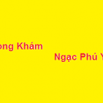 Phòng khám Ngạc phú yên ở đâu? giá khám bao nhiêu?