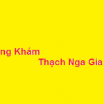 Phòng khám bác sĩ Thạch Nga gia lai ở đâu? giá khám bao nhiêu?