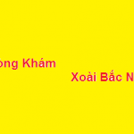 Phòng khám bác sĩ Xoài bắc ninh ở đâu? giá khám bao nhiêu?