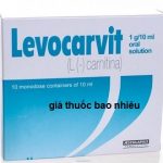 Thuốc Levocarvit 1g/10ml là thuốc gì? có tác dụng gì? giá bao nhiêu tiền?