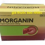 Thuốc Morganin 500 là thuốc gì? có tác dụng gì? giá bao nhiêu tiền?