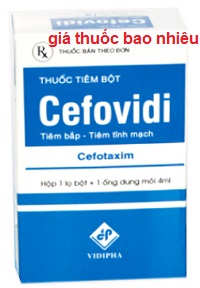 Thuốc Cefovidi 1g là thuốc gì? có tác dụng gì? giá bao nhiêu tiền?