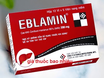 Thuốc Eblamin 200 là thuốc gì? có tác dụng gì? giá bao nhiêu tiền?