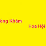 Phòng khám bác sĩ Hoa hội vũ ở đâu? giá khám bao nhiêu?