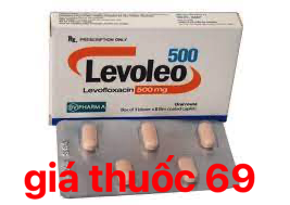 Thuốc Levoleo 500 là thuốc gì? có tác dụng gì? giá bao nhiêu?