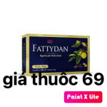 Thuốc Fattydan là thuốc gì? có tác dụng gì? giá bao nhiêu?