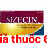 Thuốc Sizecin 120mg là thuốc gì? có tác dụng gì? giá bao nhiêu?