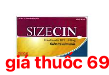 Thuốc Sizecin 120mg là thuốc gì? có tác dụng gì? giá bao nhiêu?
