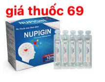 Thuốc Nupigin 1200 là thuốc gì? có tác dụng gì? giá bao nhiêu?