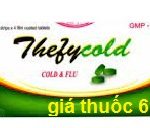 Thuốc Thefycold 500 là thuốc gì? có tác dụng gì? giá bao nhiêu?