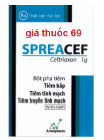 Thuốc SpreaCef 2g là thuốc gì? có tác dụng gì? giá bao nhiêu?